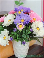 ҹѴ͡Թ Shanel LK Flower Hua Hin Thailand